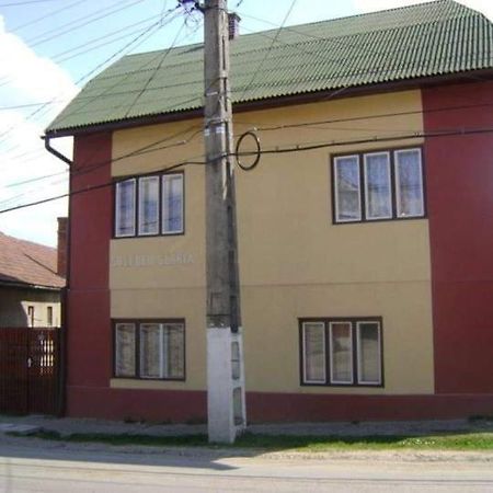 Pensiunea Shalom Sîncraiu Dış mekan fotoğraf
