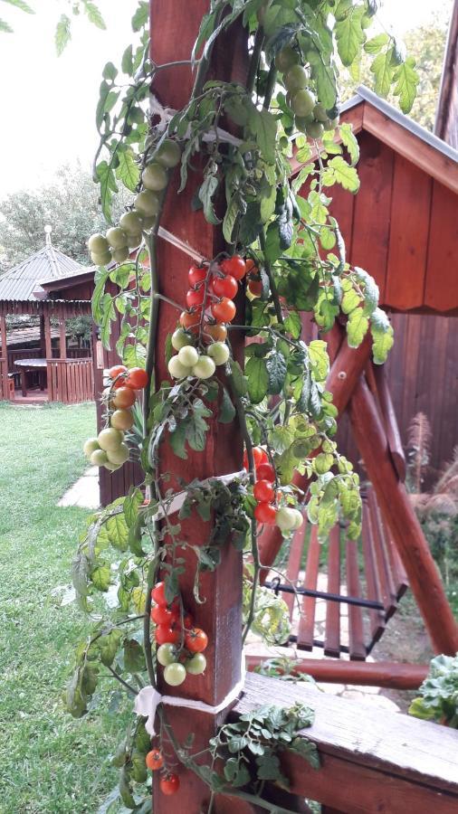 Pensiunea Shalom Sîncraiu Dış mekan fotoğraf